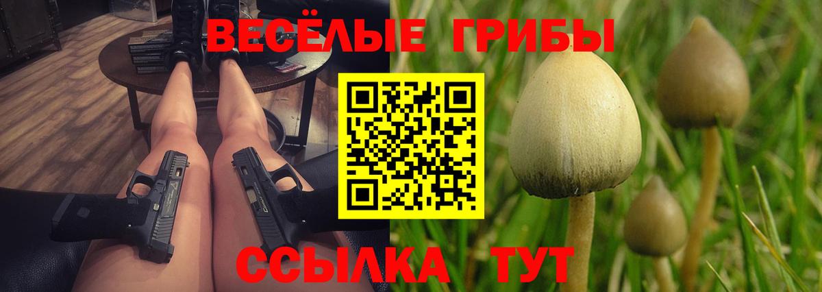 Галлюциногенные грибы Magic Shrooms Кашира
